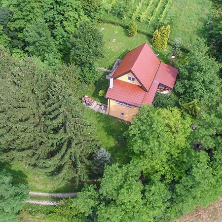 Villa Lorena Krapinske Toplice Exterior photo